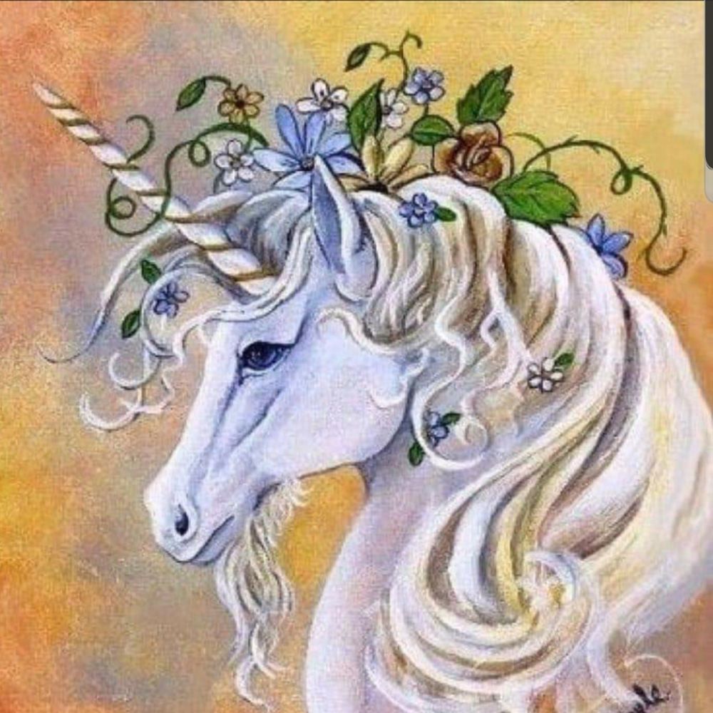 Meet your Posher, Shelley